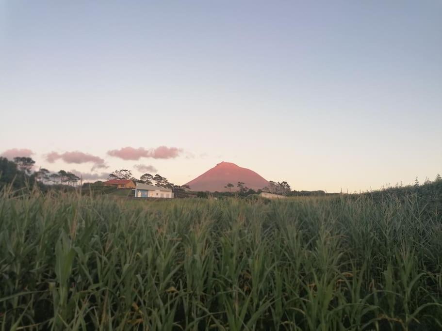 Willa Dream View In Pico Criacao Velha Zewnętrze zdjęcie